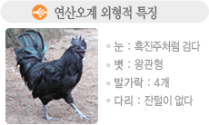 ������ Ư¡