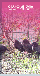 ������� ����